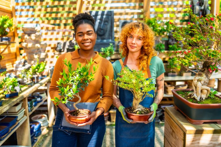 Top 10 Indoor Plants for Beginners